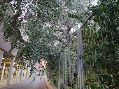 CARTAGENA/OESTE - Cita centros de Salud