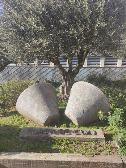 JOAN MIRAMBELL I FOLCH DE CALDES DE MONTBUI - Cita centros de Salud