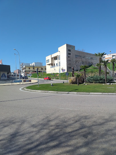 PLASENCIA II SUR (SAN MIGUEL) - Cita centros de Salud