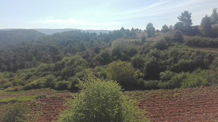 ARANDILLA DEL ARROYO - Cita centros de Salud