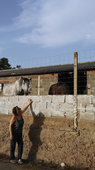 BELMONTE DE GRACIÁN - Cita centros de Salud