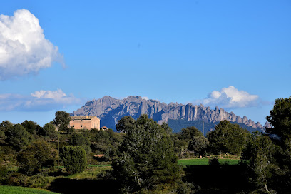 CASTELLFOLLIT DEL BOIX - Cita centros de Salud