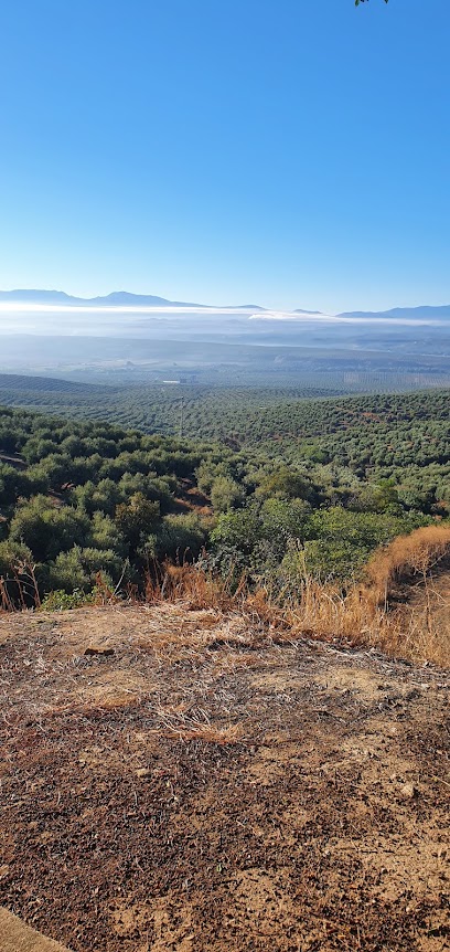 MONTE LOPE - ÁLVAREZ - Cita centros de Salud