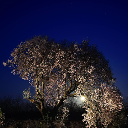 NAVA DE ABAJO - Cita centros de Salud