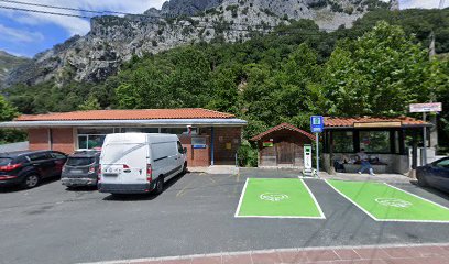 PEÑARRUBIA - TRESVISO - Cita centros de Salud