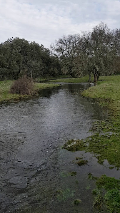 Foto de Fuente del Lugar en La Redonda, Salamanca