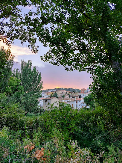 SALINAS DEL MANZANO - Cita centros de Salud