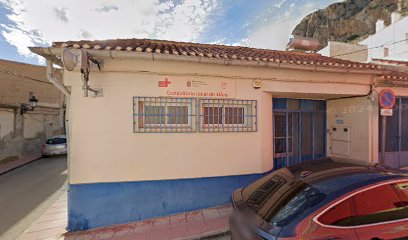 ULEA - Cita centros de Salud