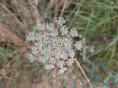 VALPARAISO DE ARRIBA - Cita centros de Salud