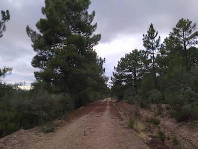 VILLARINO TRAS LA SIERRA - Cita centros de Salud