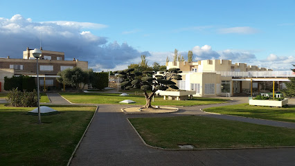 Zaragoza - Centro Neuropsiquiátrico Nuestra Señora del Carmen 