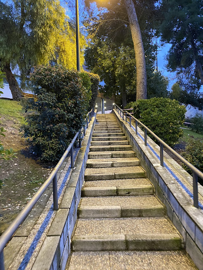 Cabra - Hospital Infanta Margarita 