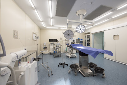 Cuenca - Hospital Recoletas Cuenca, S.L.U. 
