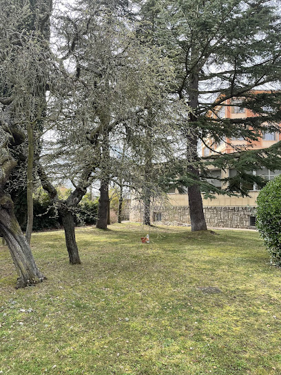 León - Hospital Santa Isabel. Complejo Asistencial Universitario de León. 