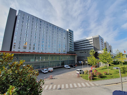 Santander - Hospital Universitario Marques de Valdecilla 