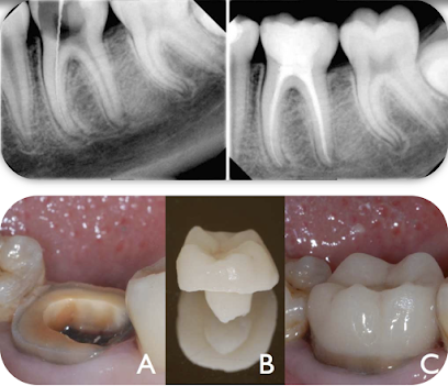 Logroño - CENTRO CLINICO DE ESPECIALIDADES DENTALES - Centro Dental