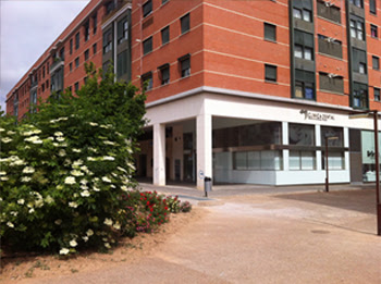 Ciudad Real - CLINICA DE ORTODONCIA Y ODONTOLOGIA MARIA FERNANDEZ PARDO - Centro Dental