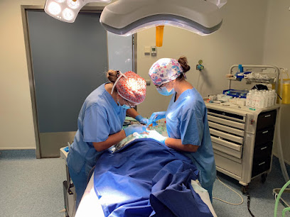 Valladolid - CLINICA GALVAN-LOBO ODONTOLOGIA INFANTIL Y FAMILIAR - Centro Dental