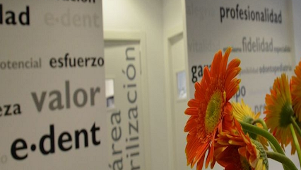 València - E.DENT ODONTOLOGIA - Centro Dental
