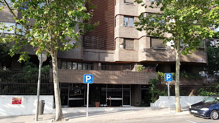 Madrid - FRANCISCO JAVIER GONZALEZ DEL VALLE - Óptica