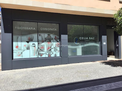 Cabezón de la Sal - CENTRO DE FISIOTERAPIA CELIA MARTINEZ