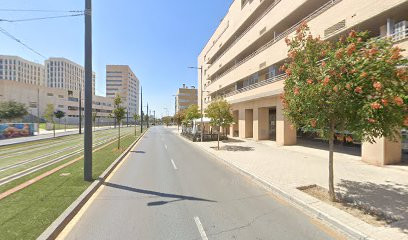 Granada - CLINICA FISIOTERAPIA CAMPUS DE LA SALUD- ORTOPEDIA MAYOR SA