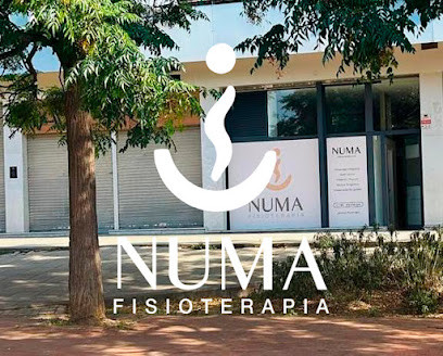 Mataró - NUMA FISIOTERAPIA