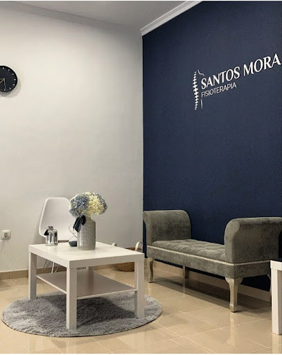 Tomelloso - SANTOS MORA FISIOTERAPIA