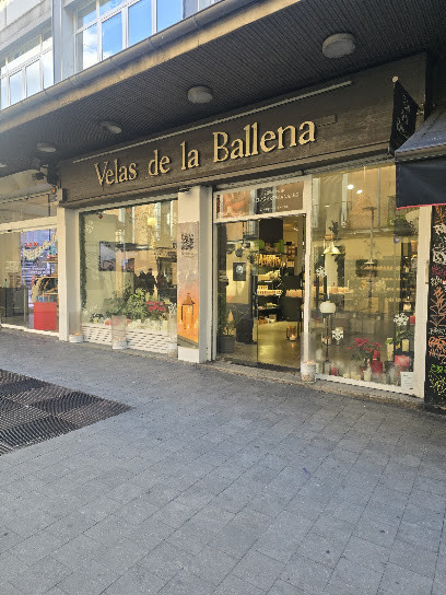Madrid - ORTOVEL - E. VELA